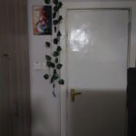 Modern Studio Apartment |Rooftop Chill spot | Lift & Parking