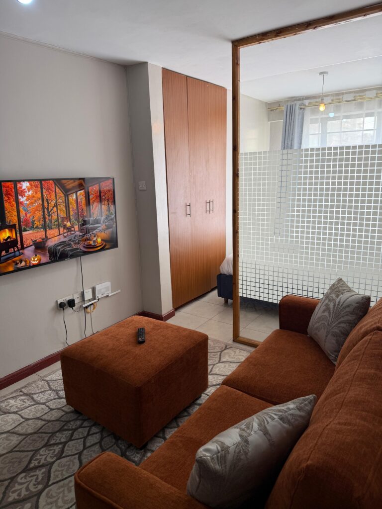 Spacious Studio Apartment in Fedha, Nairobi
